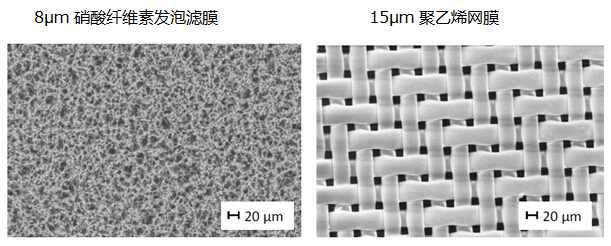 發(fā)泡濾膜和網(wǎng)膜的結(jié)構(gòu)對比